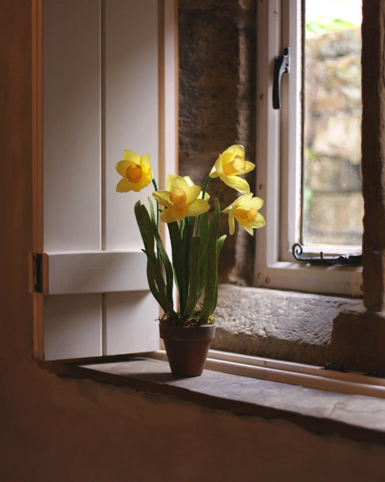 Blooms by Beam