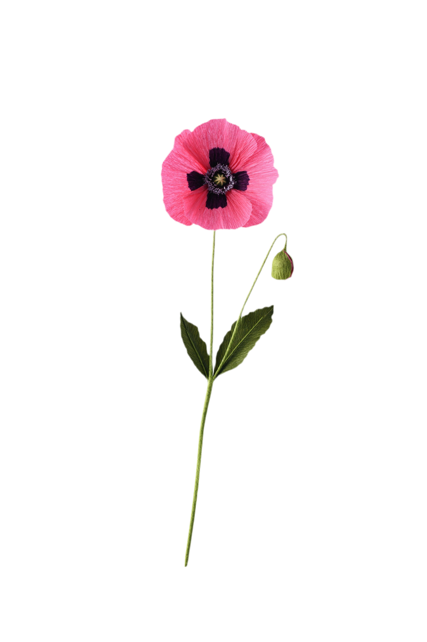 A Petal Unfolds, 'Paper Oriental Poppy Flower'