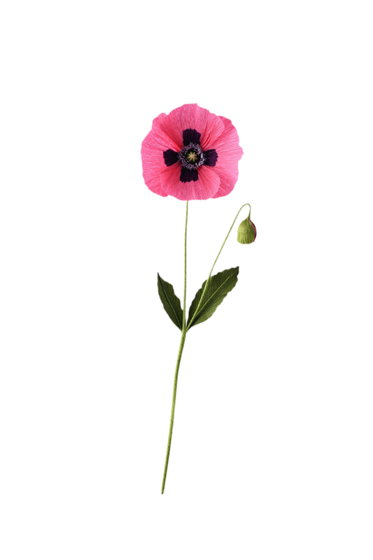 A Petal Unfolds, 'Paper Oriental Poppy Flower'