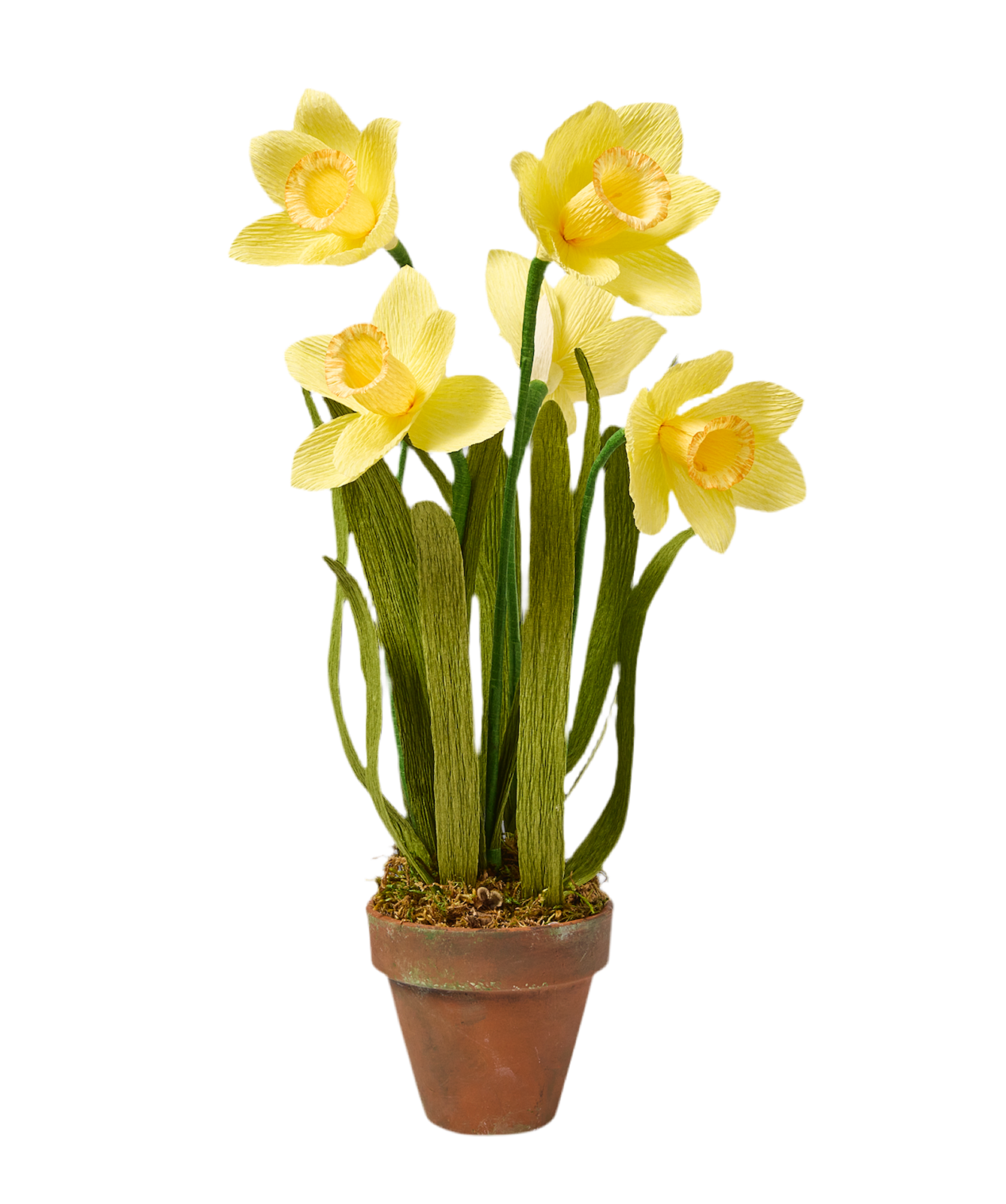Blooms by Beam Paper Daffodils