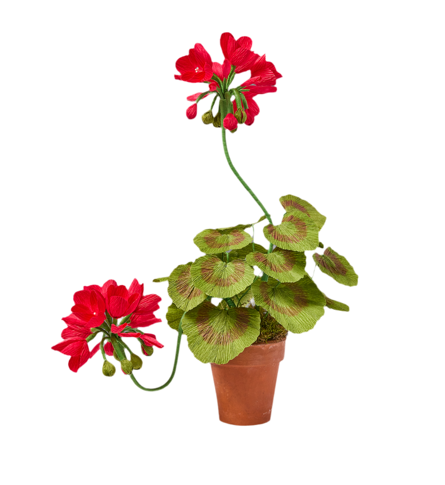 Blooms by Beam Small Crimson Paper Flower Geranium