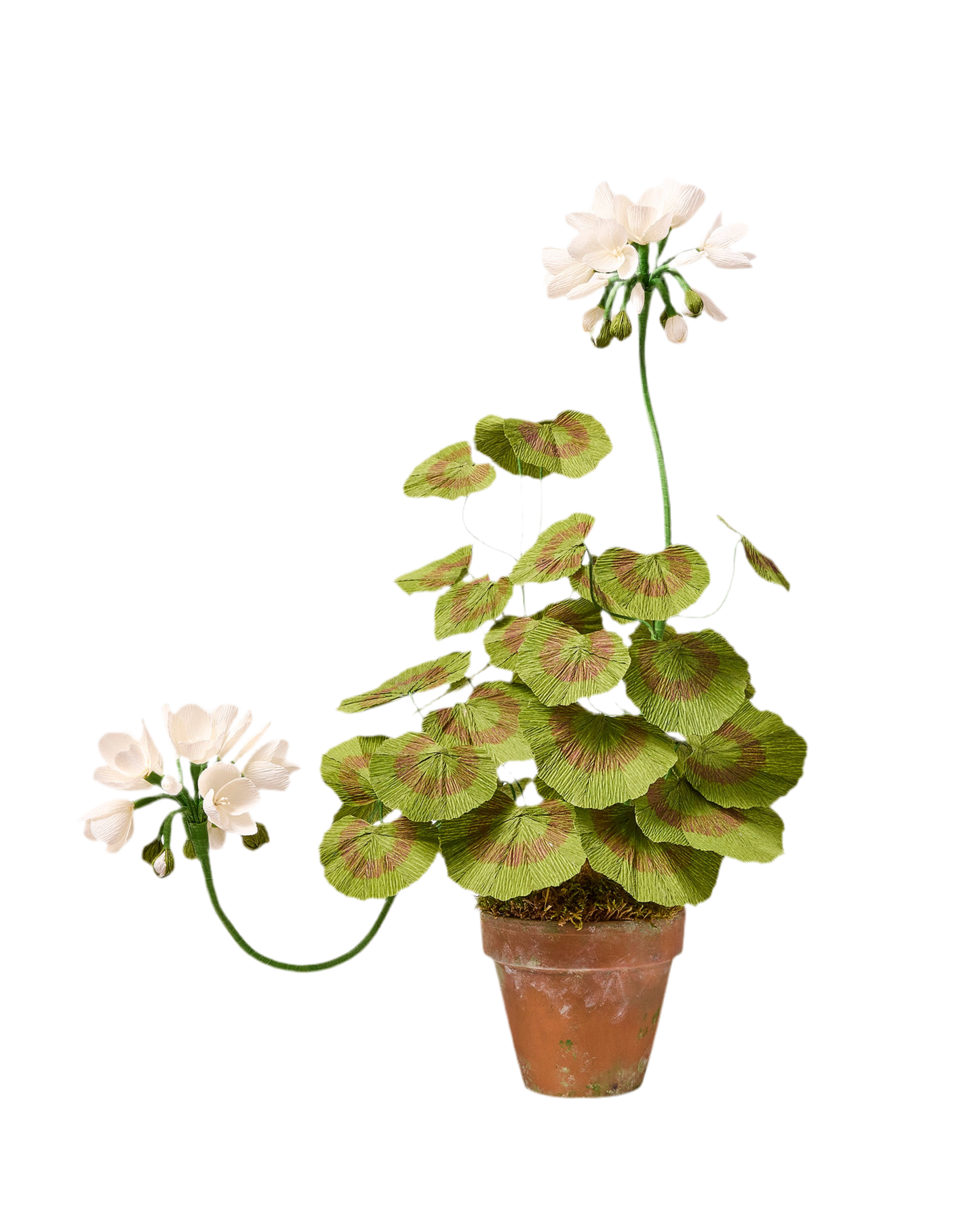 Blooms by Beam Standard White Paper Flower Geranium