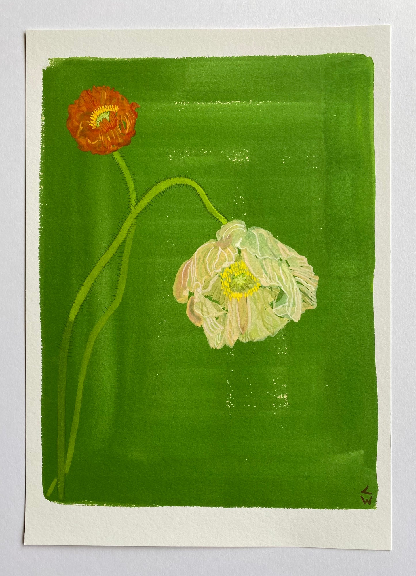 Lucy Wayne, ‘Green Poppy 3’