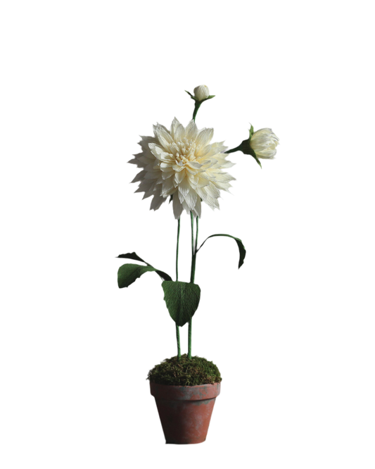 Blooms by Beam Paper Dahlia Flower
