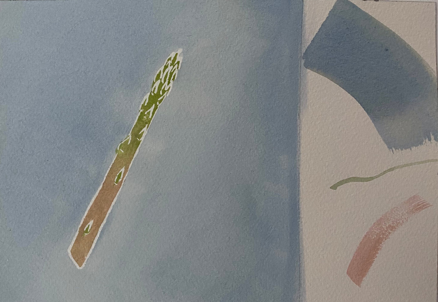 Rosalia Dols, 'Asparagus colour test' 2024