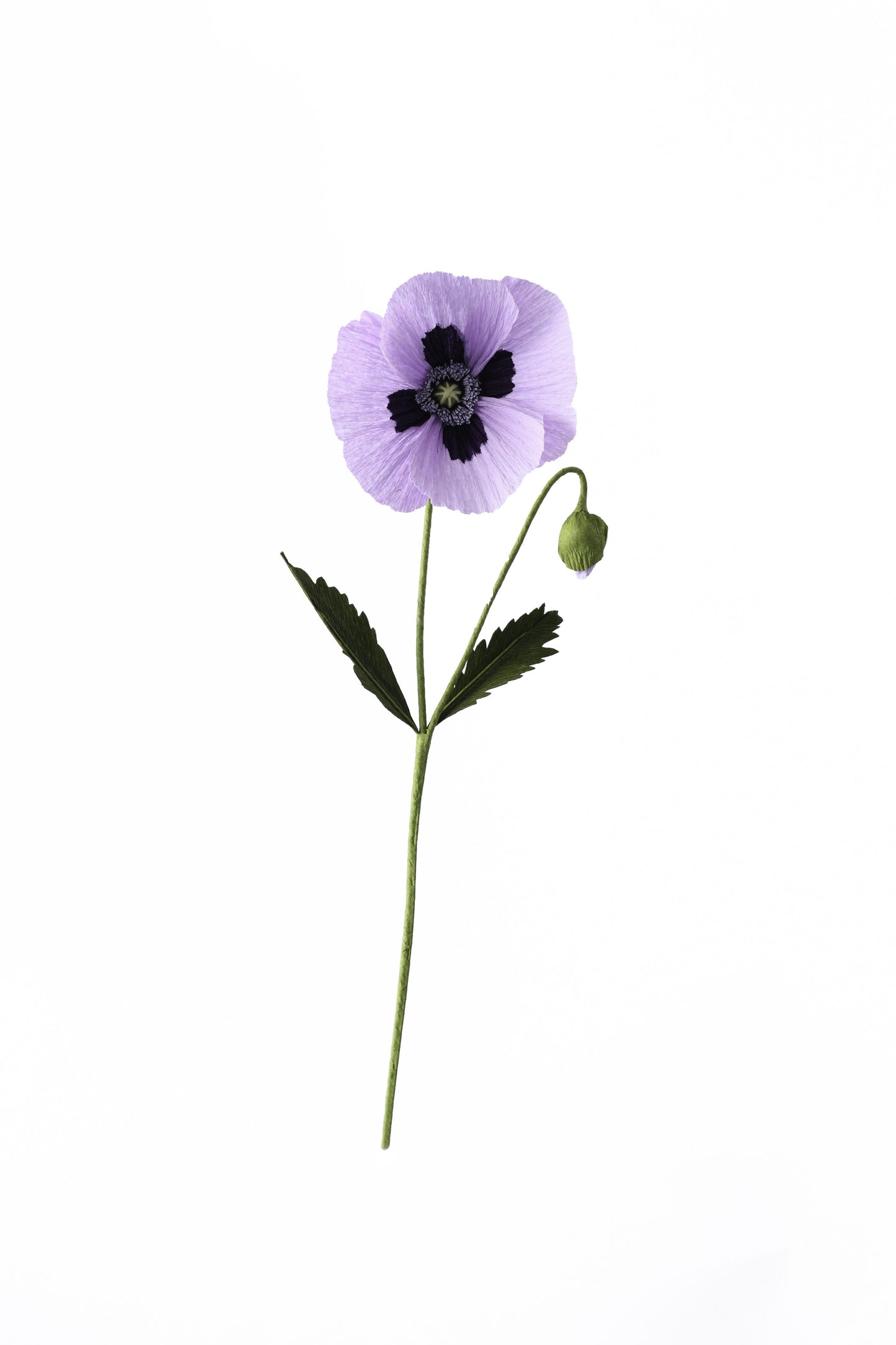 A Petal Unfolds, 'Paper Oriental Poppy Flower'