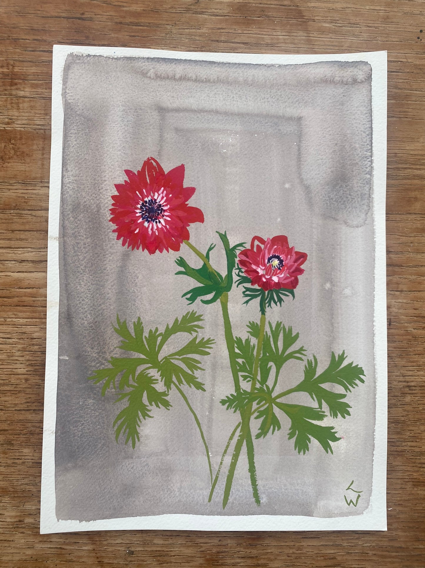 Lucy Wayne, 'Red Anemones' 2022
