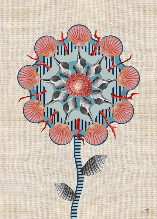 The Full Montage, 'Constantine Bay Flower' 2024