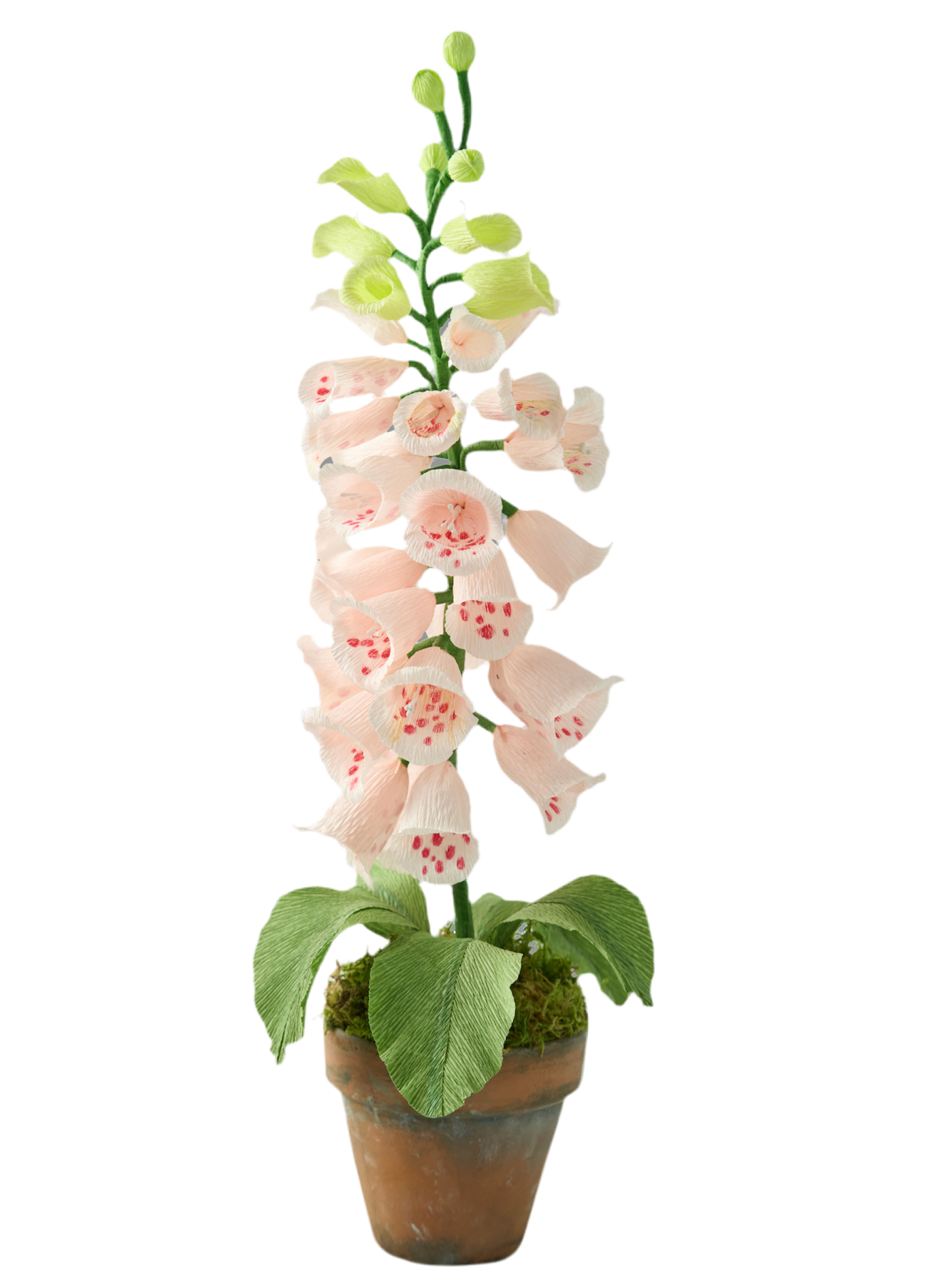 Blooms by Beam Light Pink Paper Foxglove
