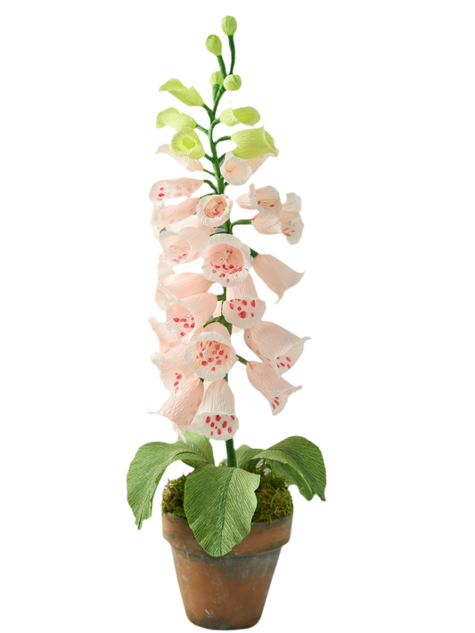 Blooms by Beam Light Pink Paper Foxglove