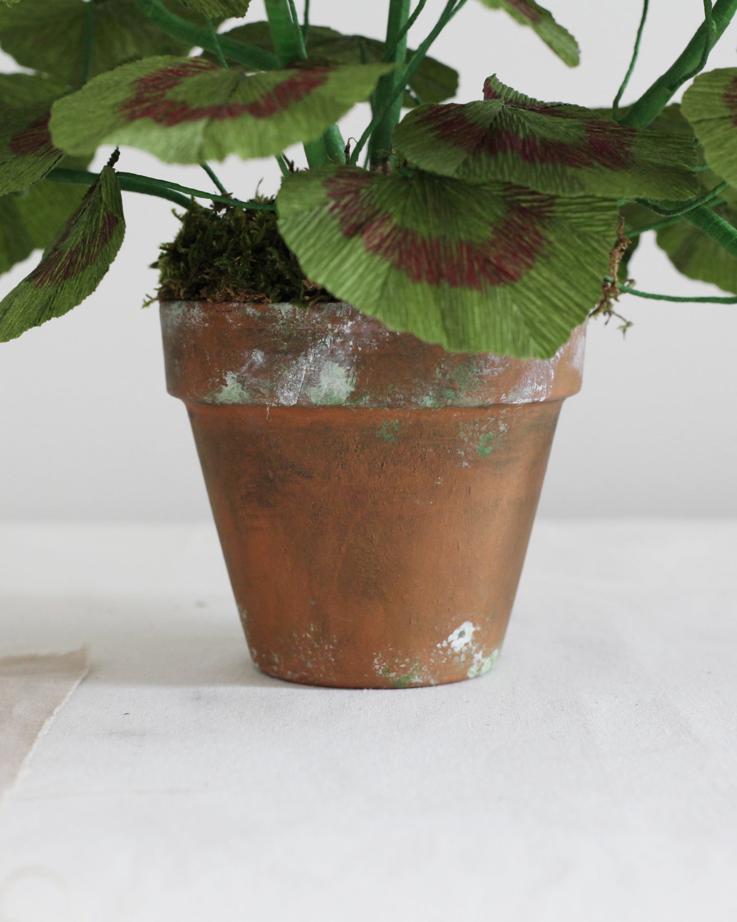 Blooms by Beam Large Crimson Paper Flower Geranium