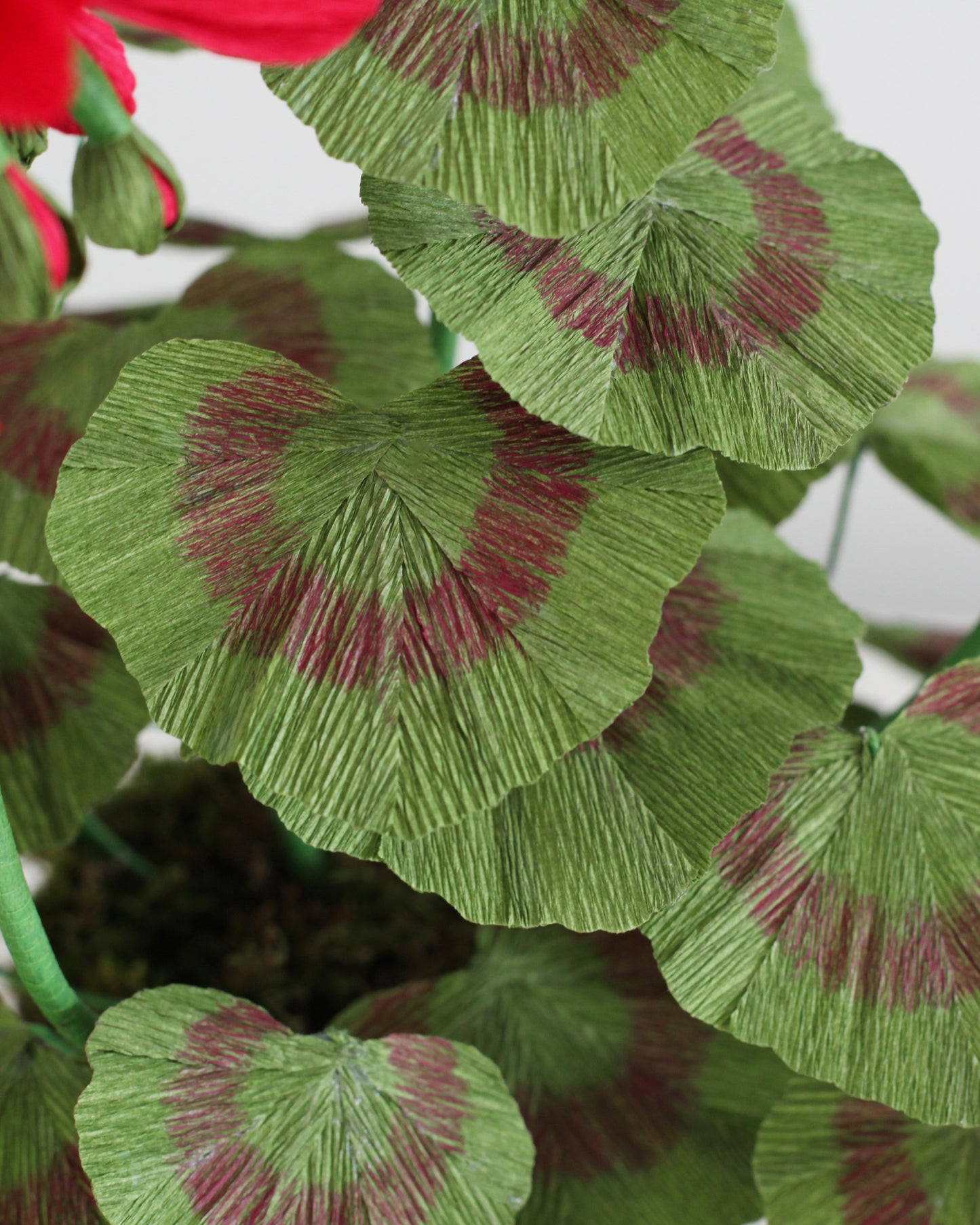 Blooms by Beam Large Crimson Paper Flower Geranium