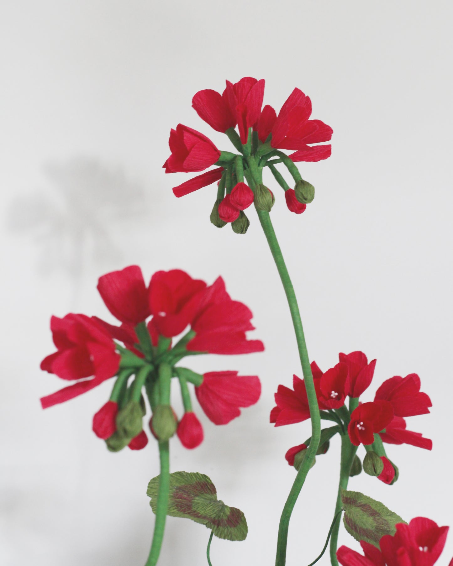 Blooms by Beam Large Crimson Paper Flower Geranium