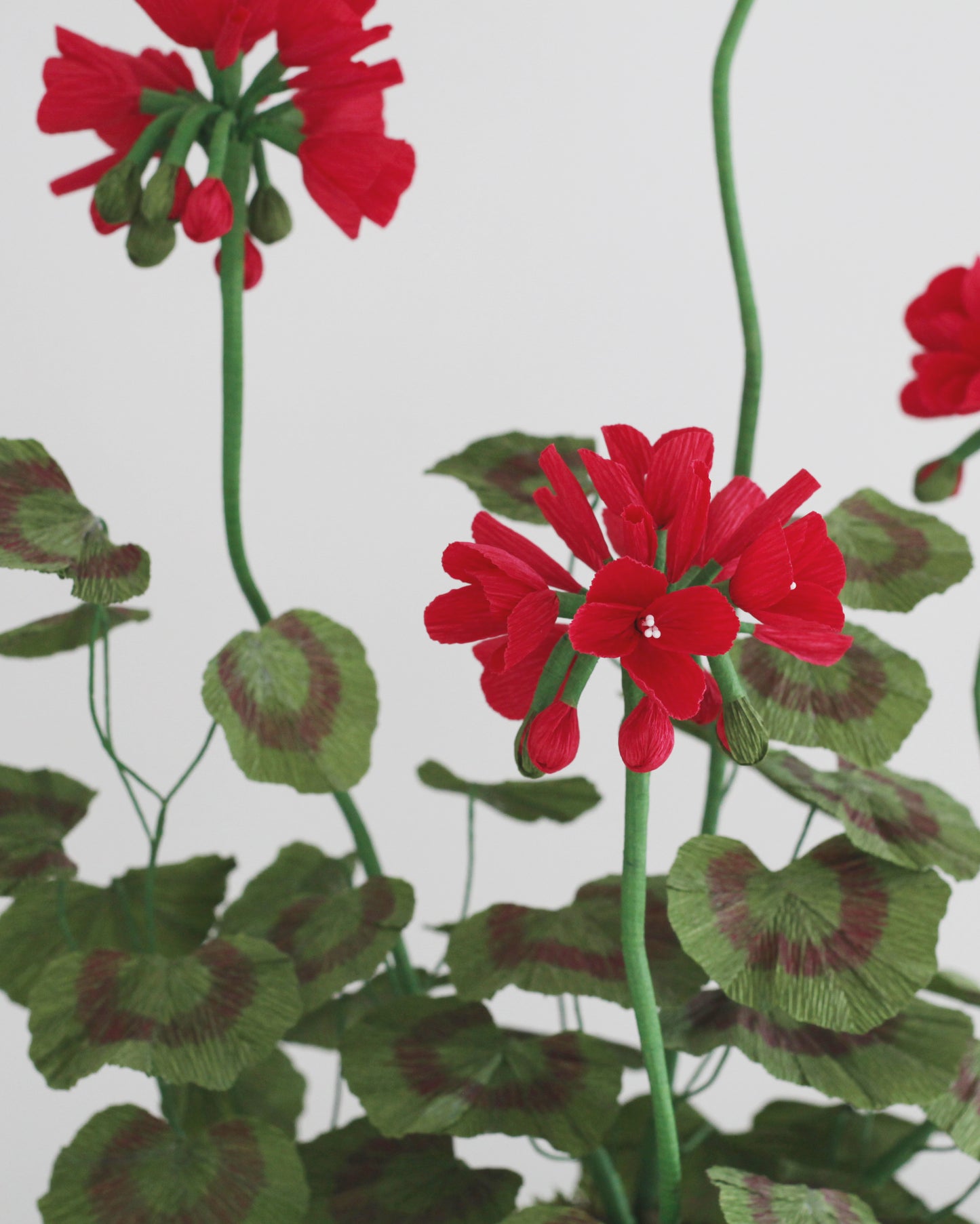 Blooms by Beam Large Crimson Paper Flower Geranium