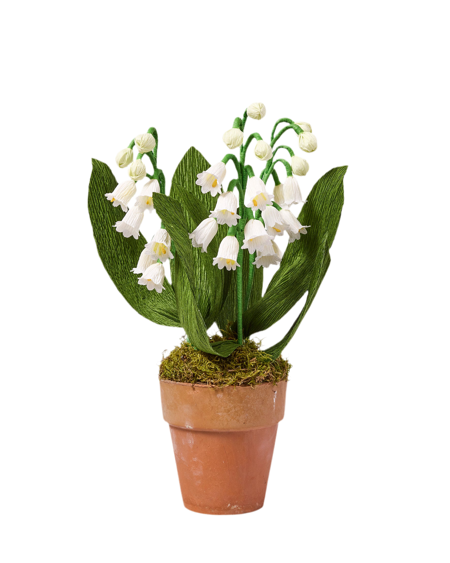 Blooms by Beam Paper Lily of the Valley
