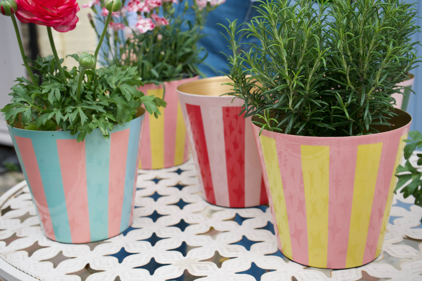 The Penny Planter in Pink and Blue Stripe
