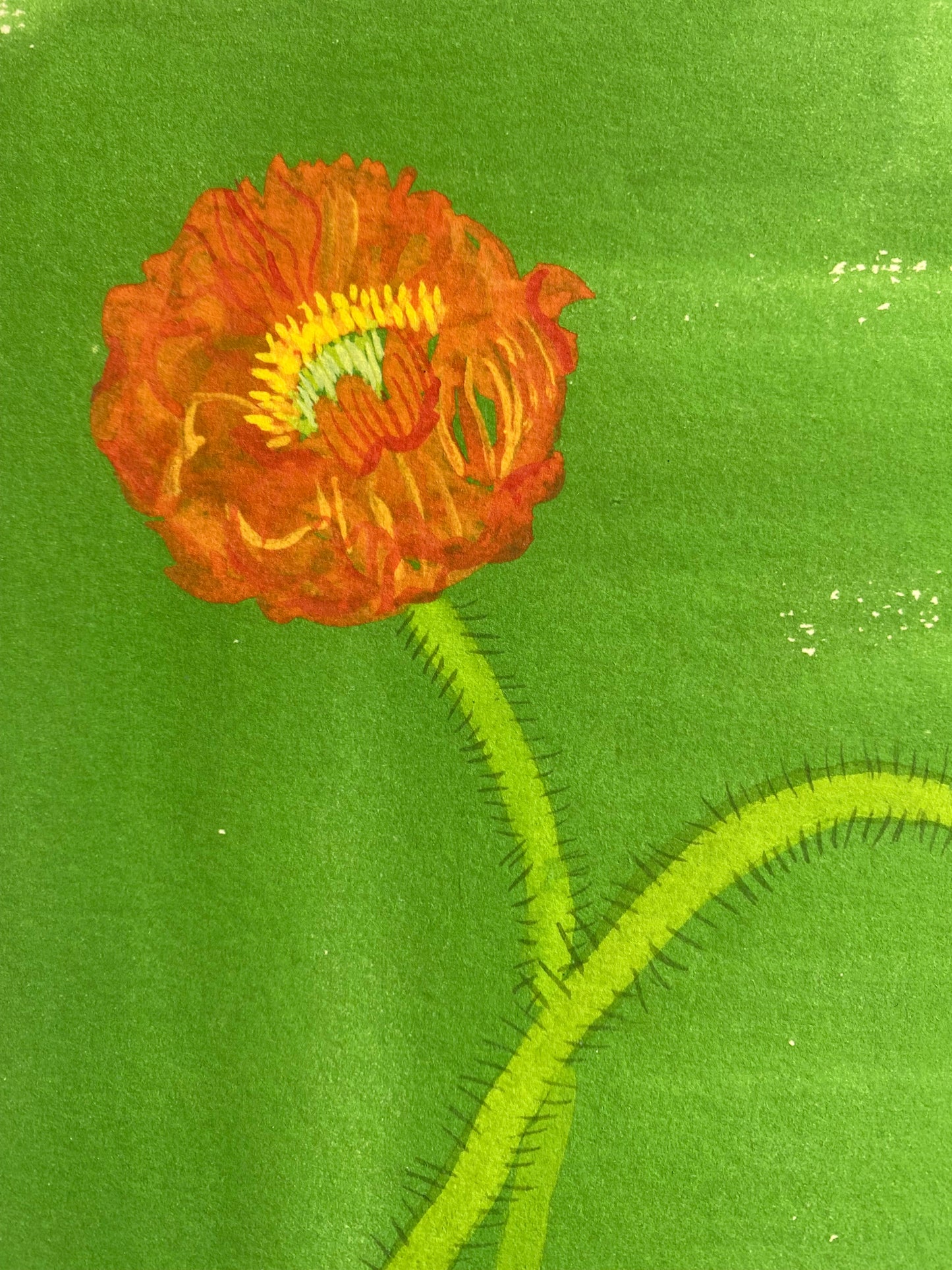 Lucy Wayne, ‘Green Poppy 3’