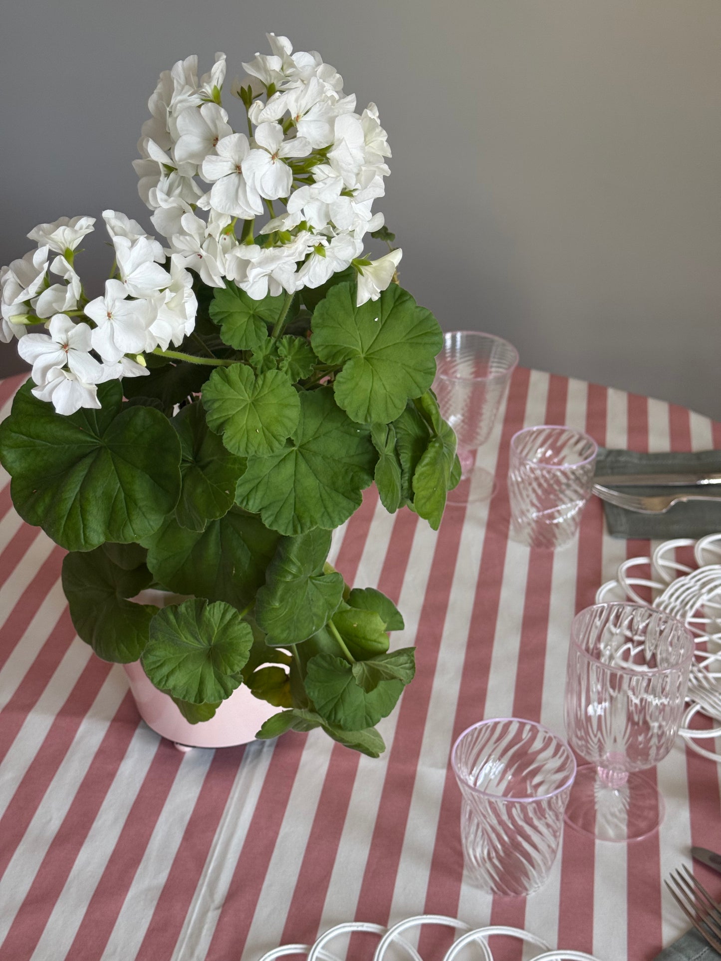 The Adrienne Venetian Tumbler in Pink