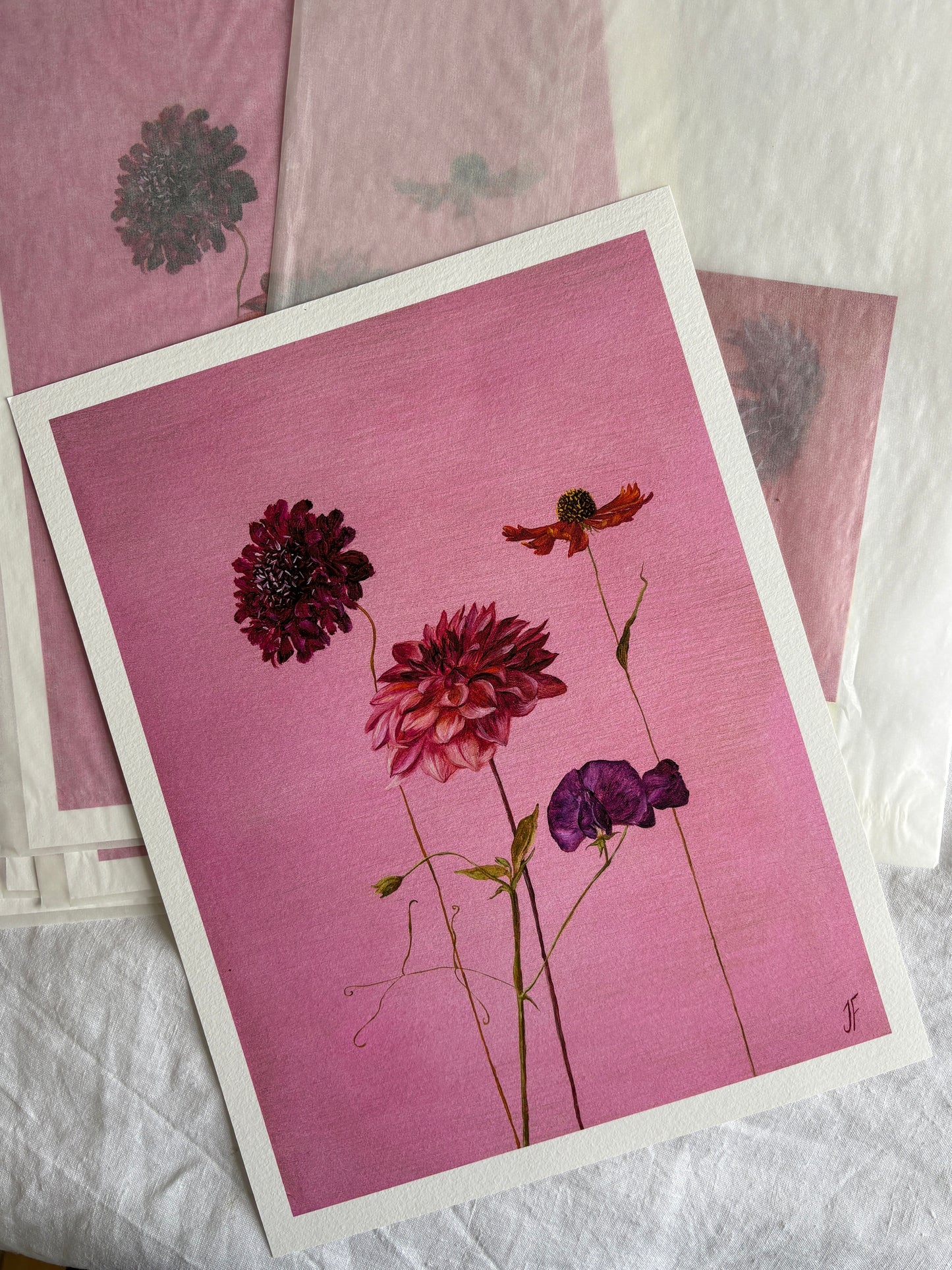 Jasmyn Fraser ‘Dahlia and sweet pea'