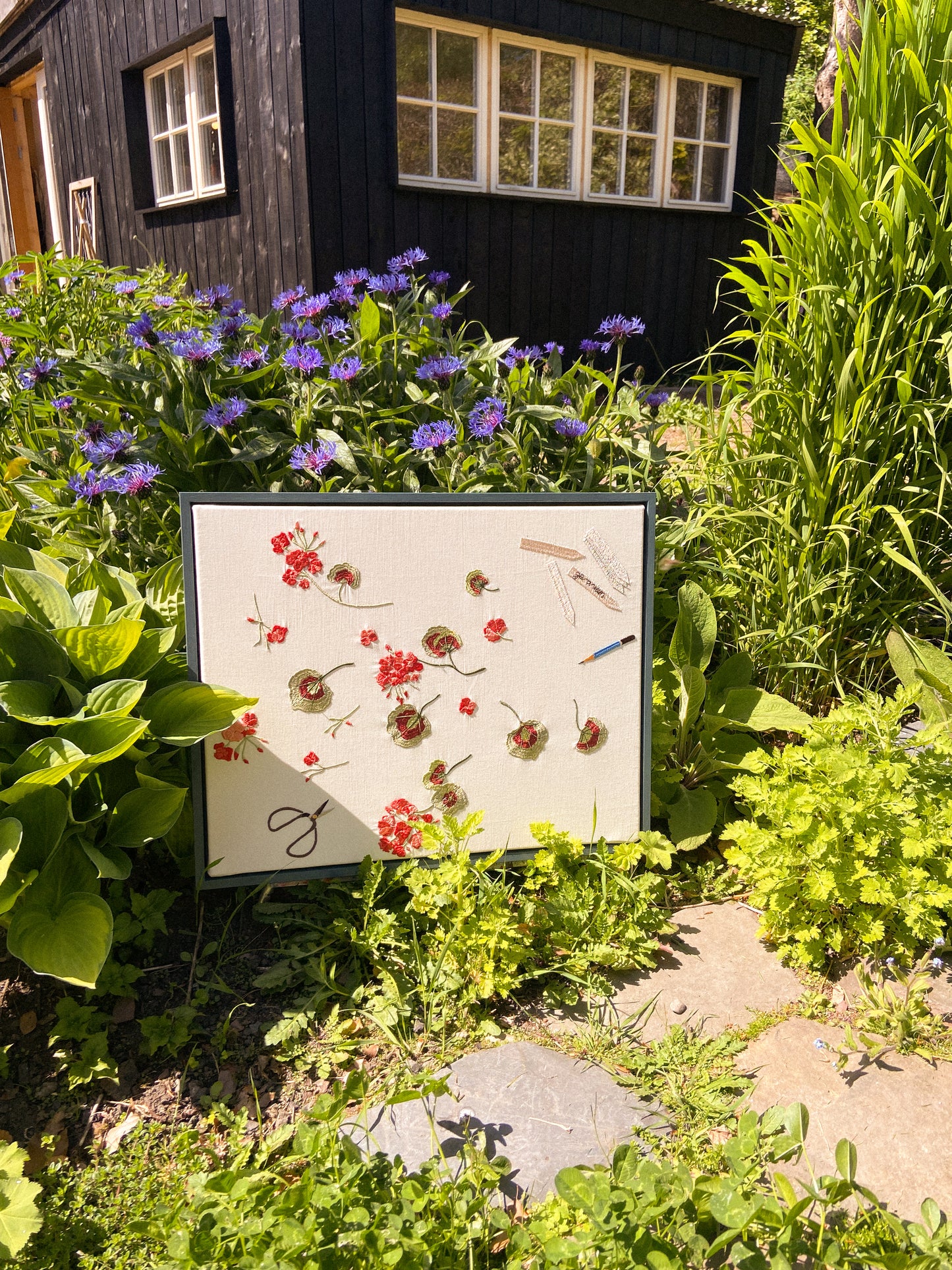 Lappliq, Geranium cuttings framed embroidered canvas