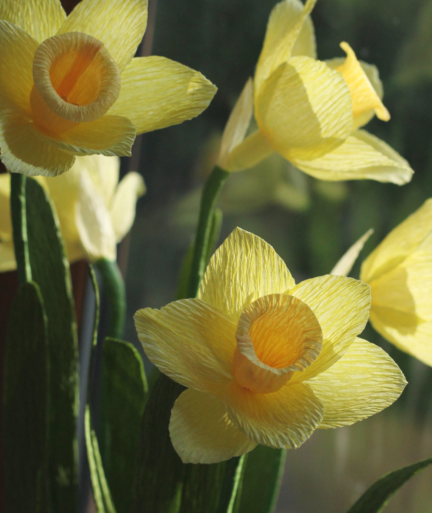 Blooms by Beam Paper Daffodils