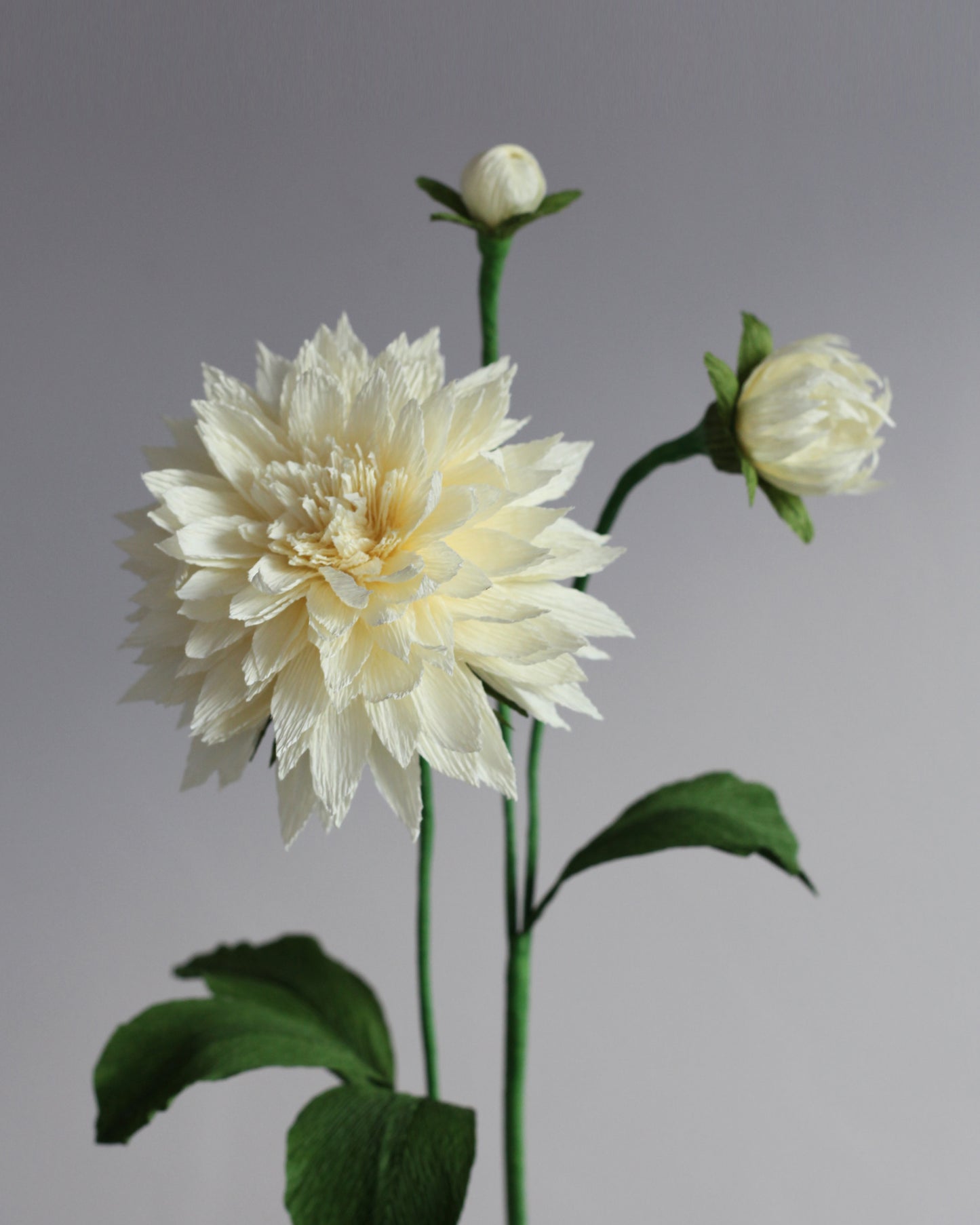Blooms by Beam Paper Dahlia Flower