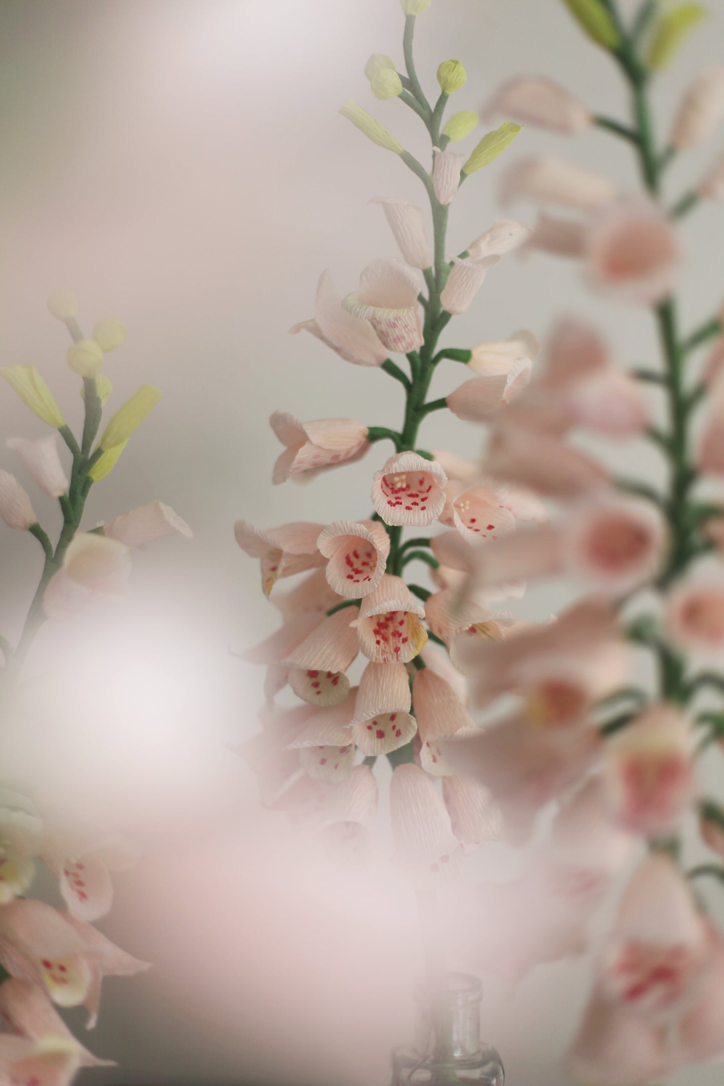 Blooms by Beam Light Pink Paper Foxglove