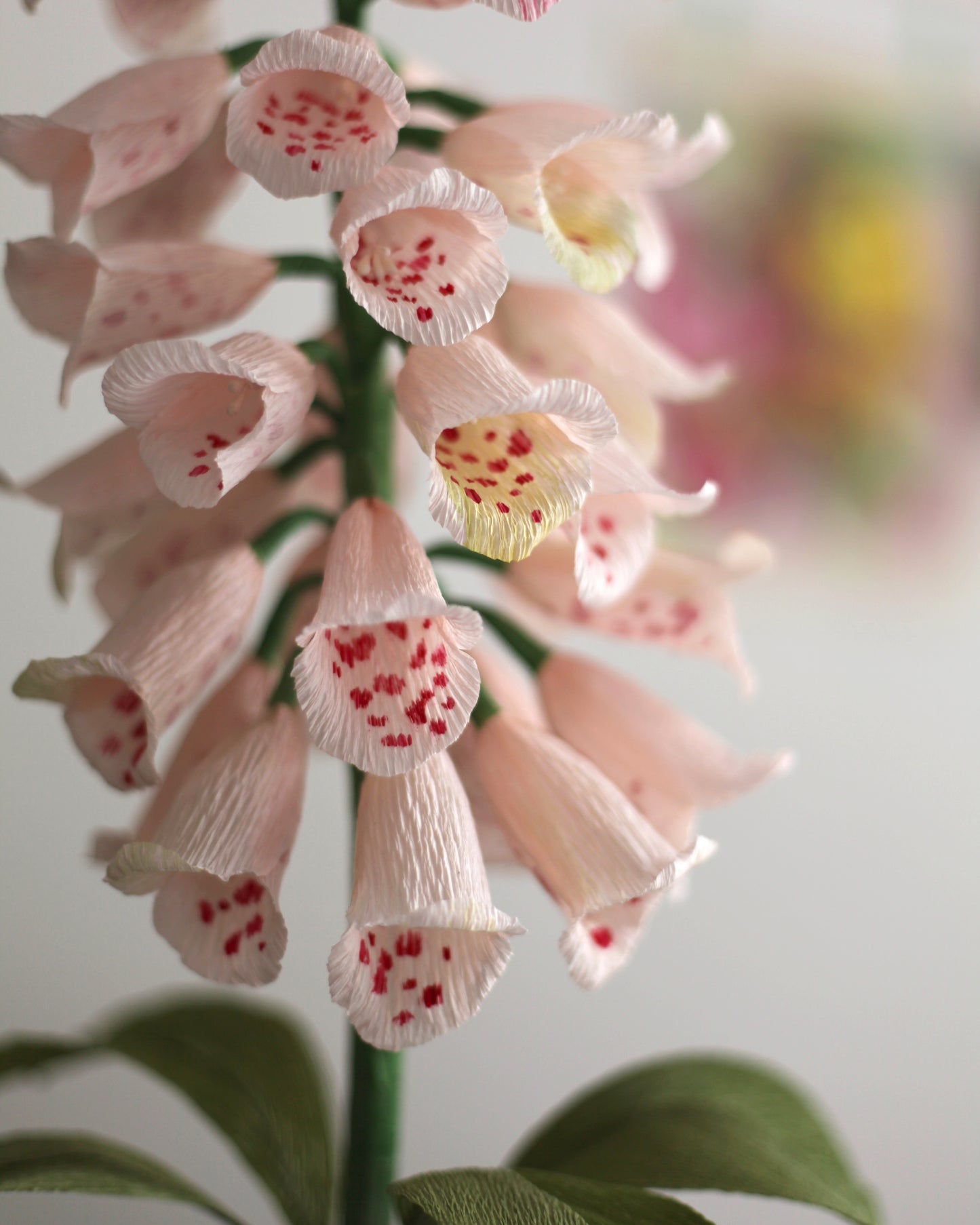 Blooms by Beam Light Pink Paper Foxglove