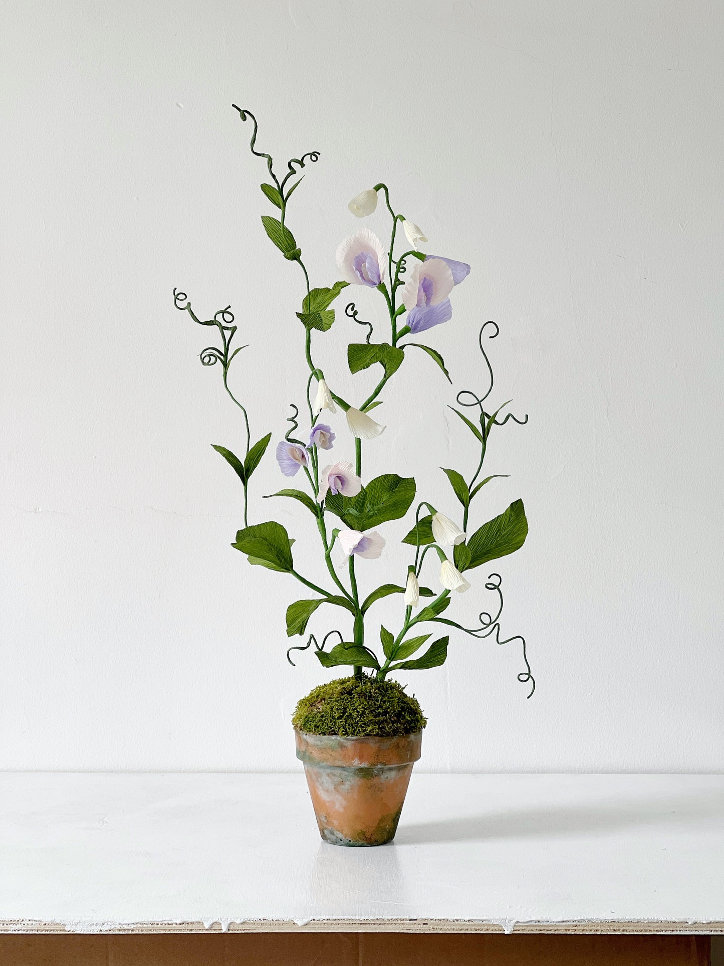Blooms by Beam Sweet Pea Paper Plant