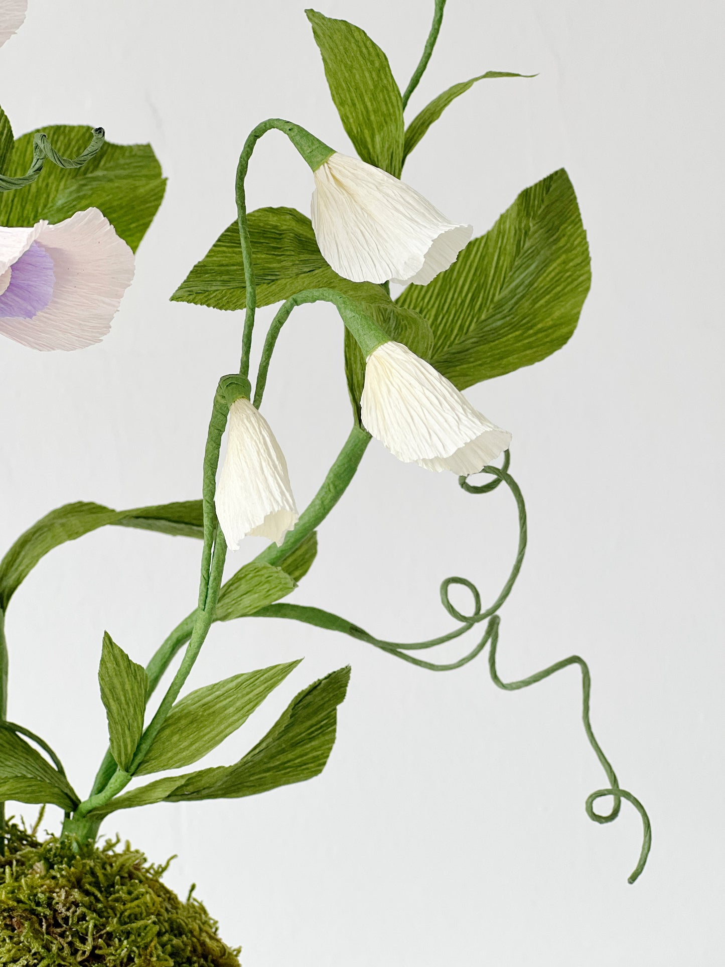 Blooms by Beam Sweet Pea Paper Plant