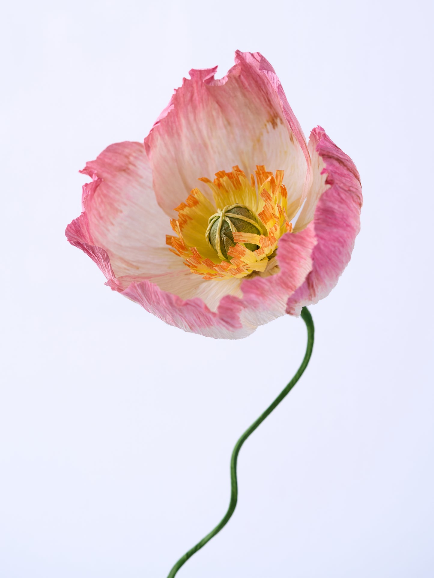 Blooms by Beam Paper Poppy Flowers