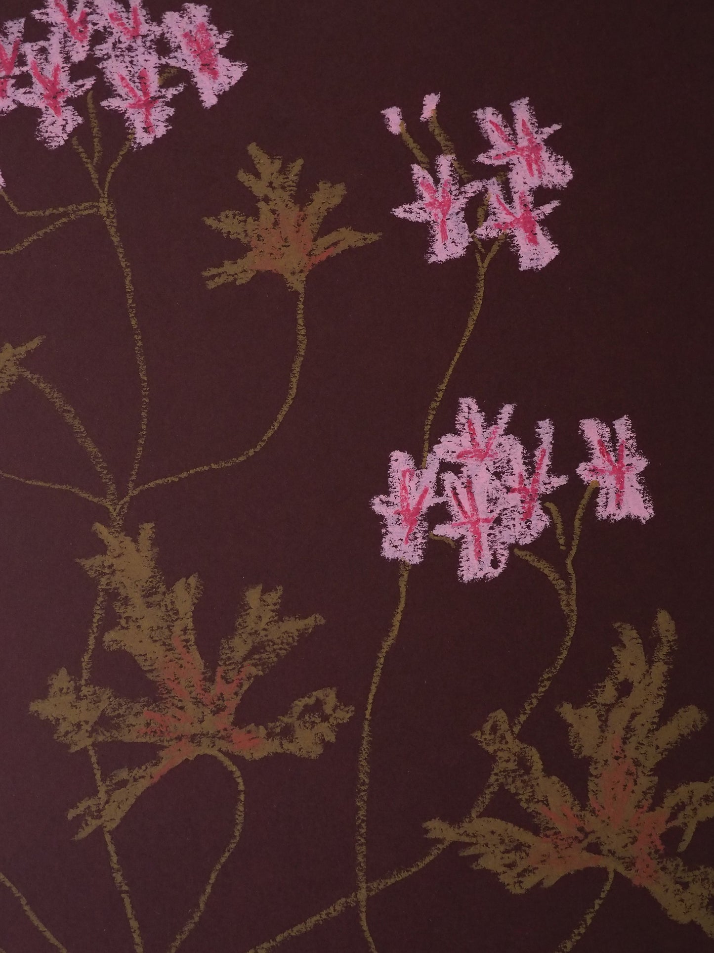 Jasmyn Kopcsandy, 'Pink Pelargonium on Claret I' 2025