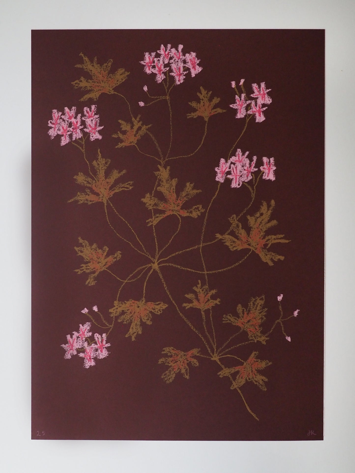 Jasmyn Kopcsandy, 'Pink Pelargonium on Claret I' 2025