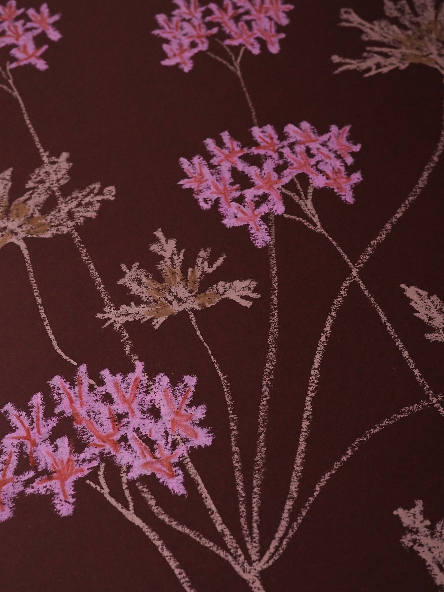 Jasmyn Kopcsandy, 'Pink Pelargonium on Claret II' 2025