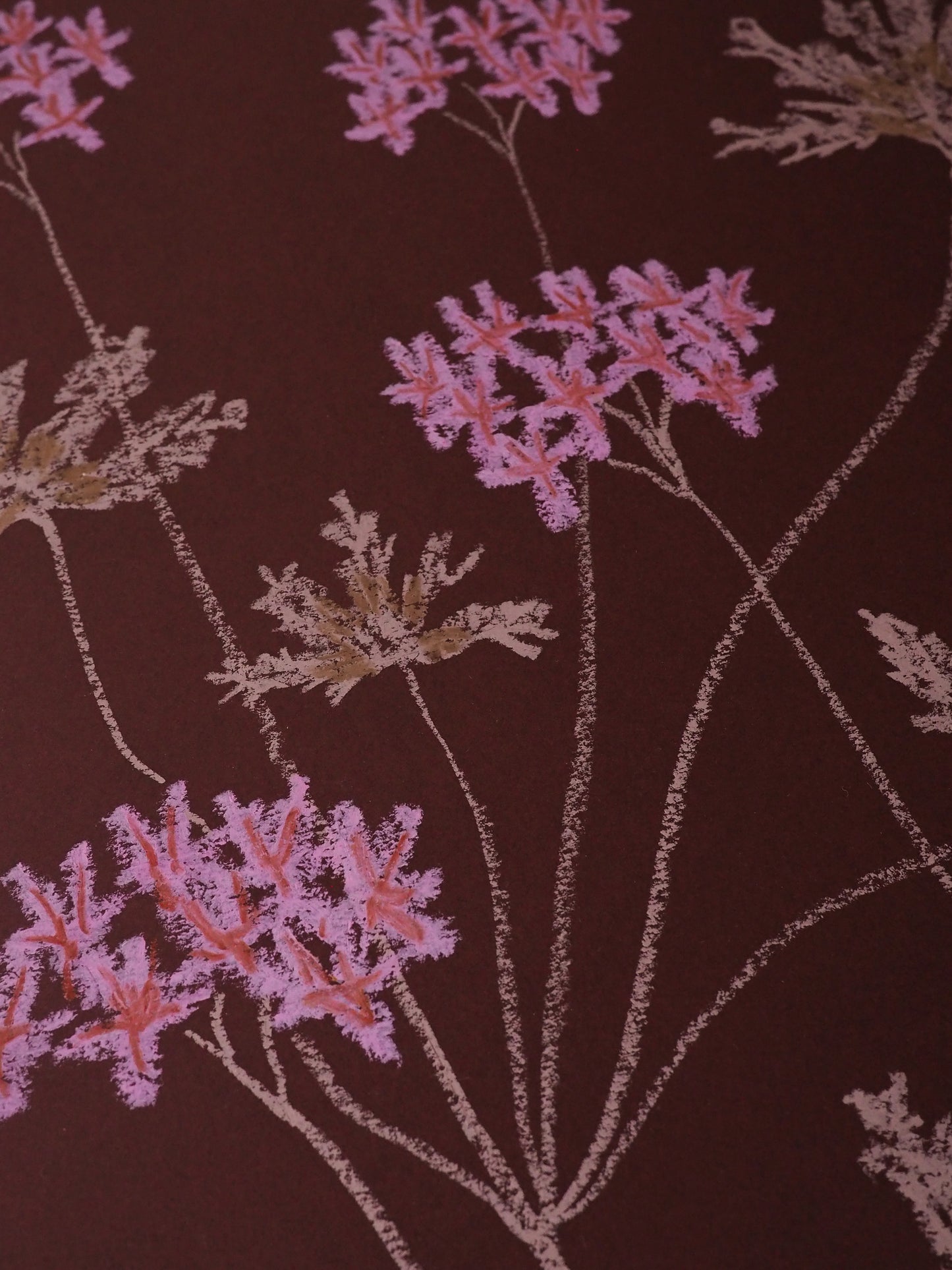 Jasmyn Kopcsandy, 'Pink Pelargonium on Claret II' 2025