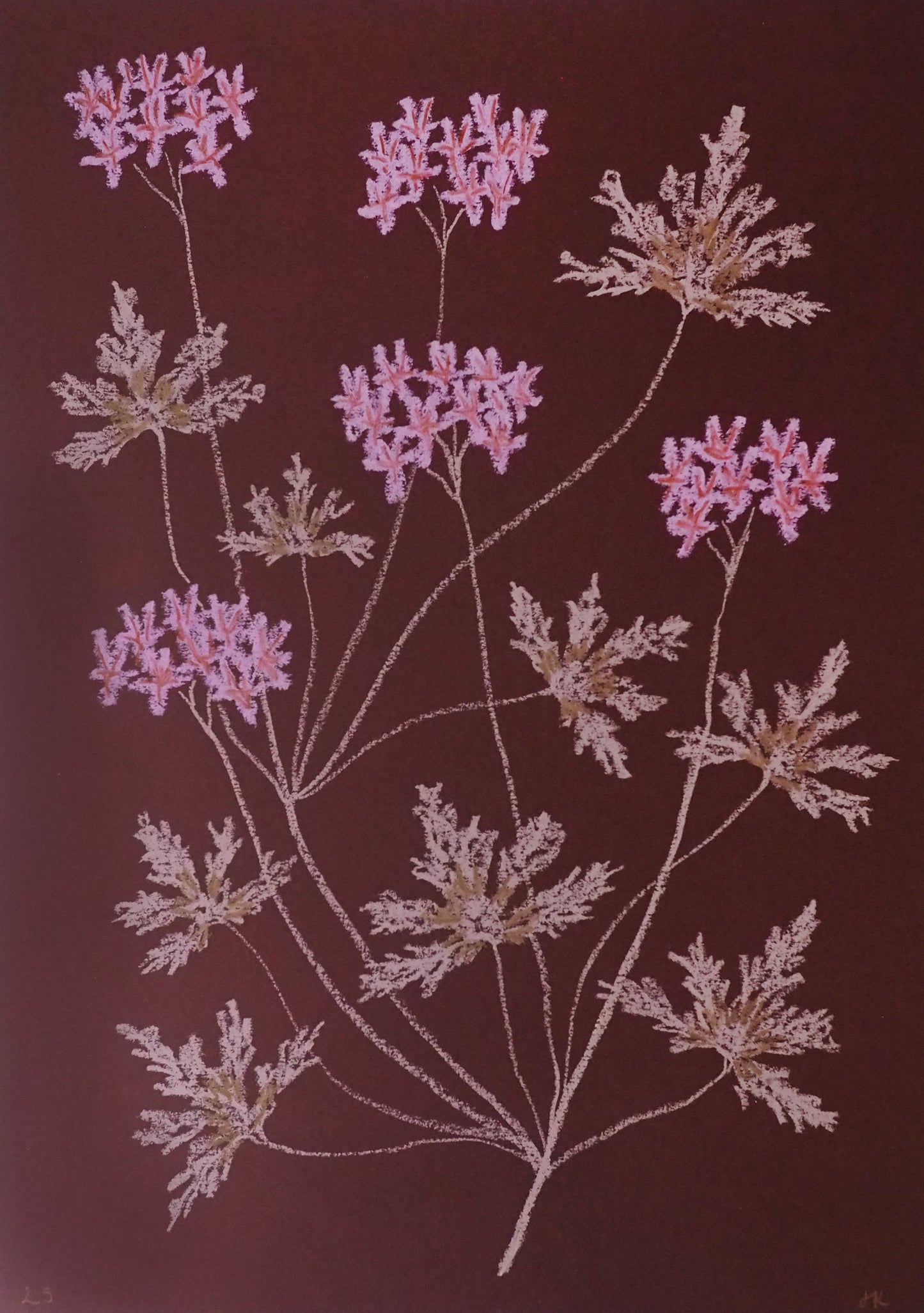 Jasmyn Kopcsandy, 'Pink Pelargonium on Claret II' 2025