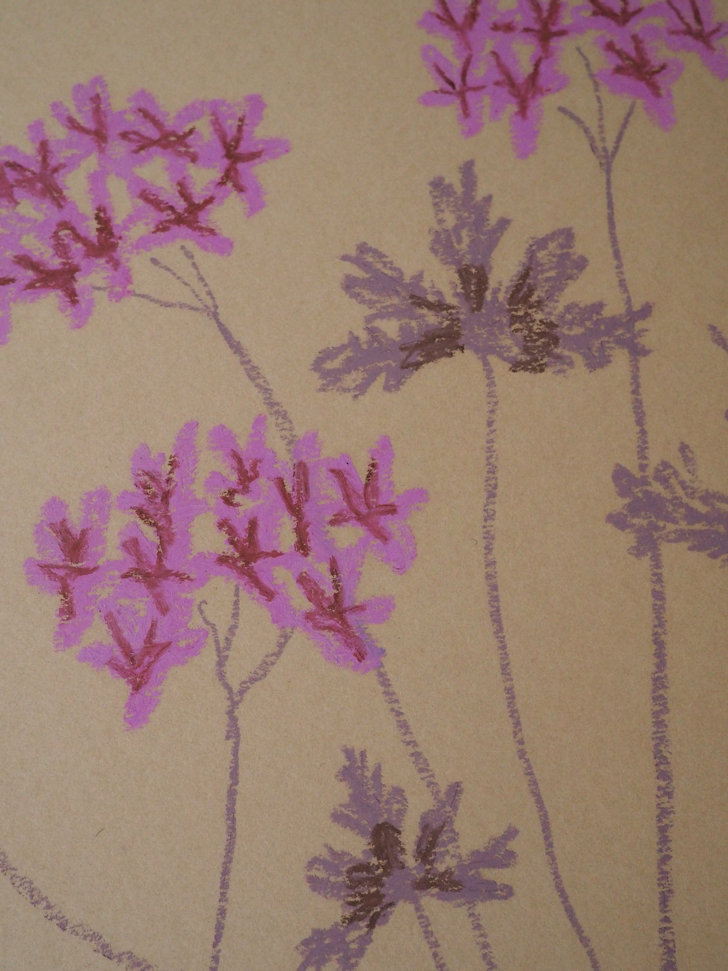 Jasmyn Kopcsandy, 'Pink Pelargonium on Stone' 2025