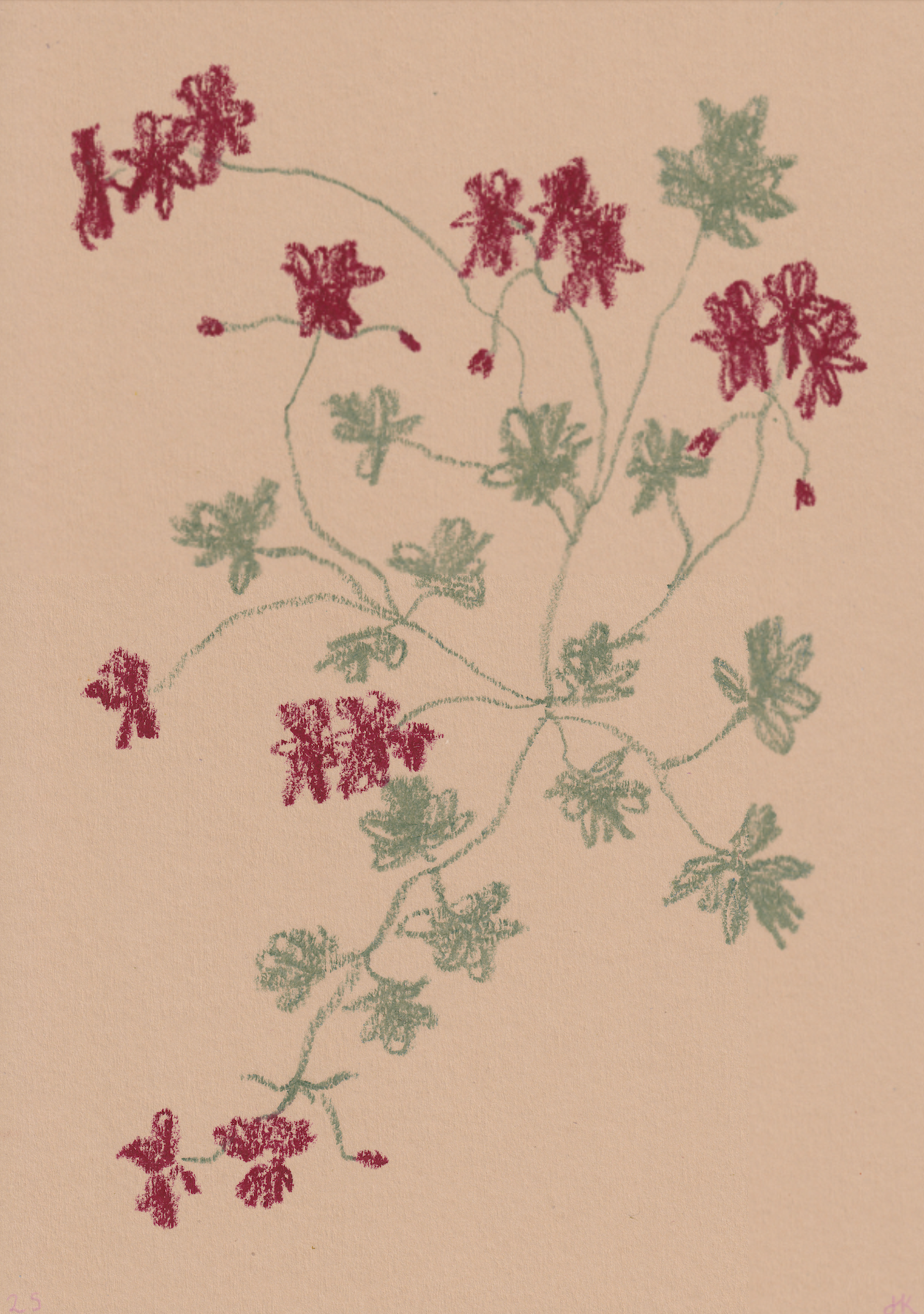 Jasmyn Kopcsandy, 'Red Pelargonium on Stone' 2025