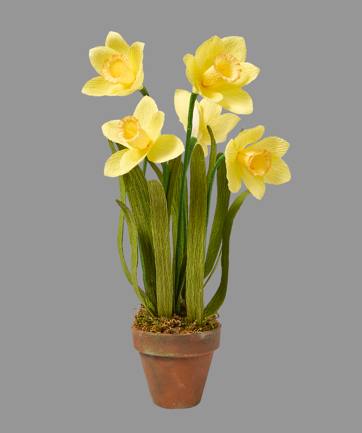 Blooms by Beam Paper Daffodils