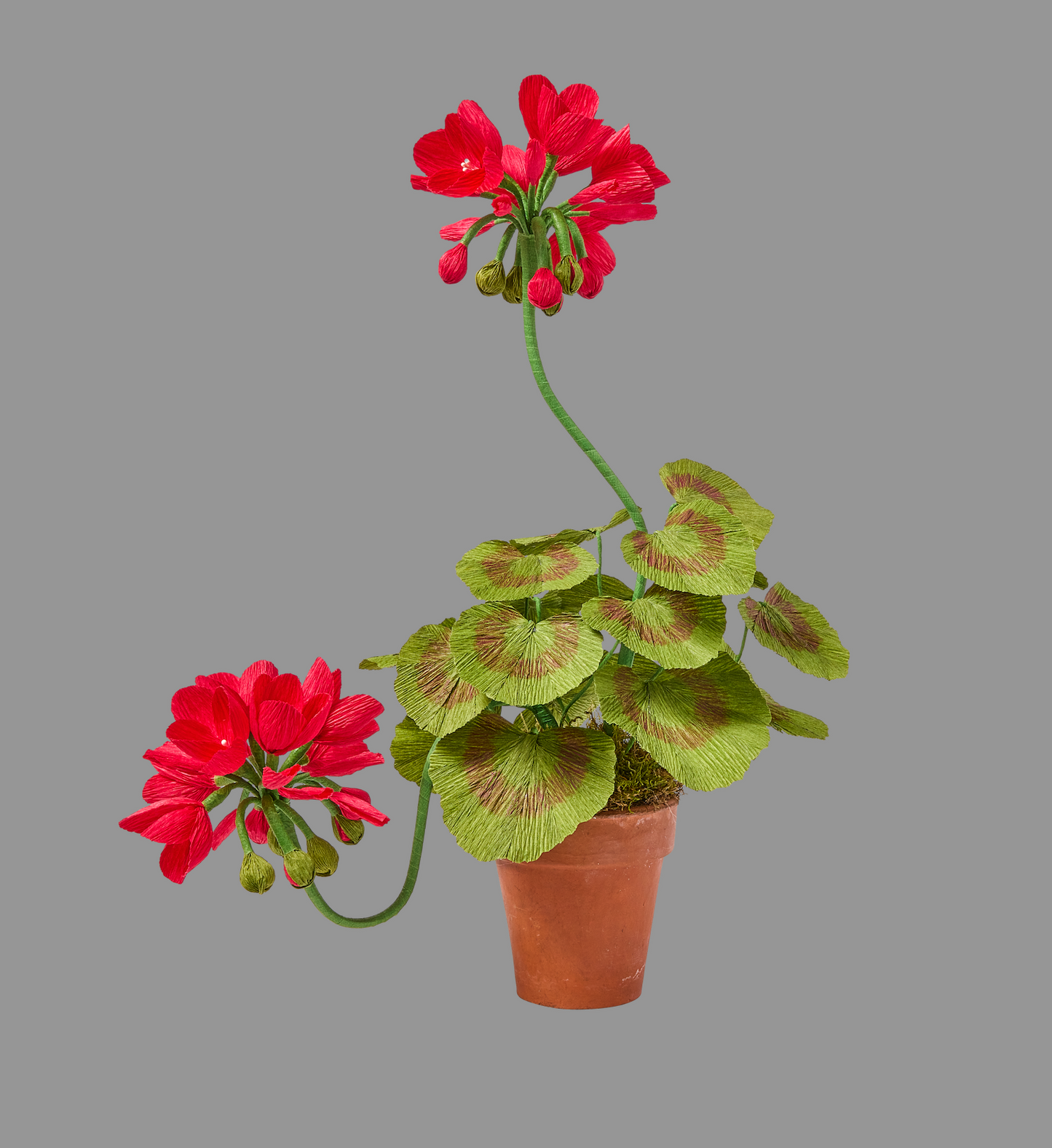 Blooms by Beam Small Crimson Paper Flower Geranium
