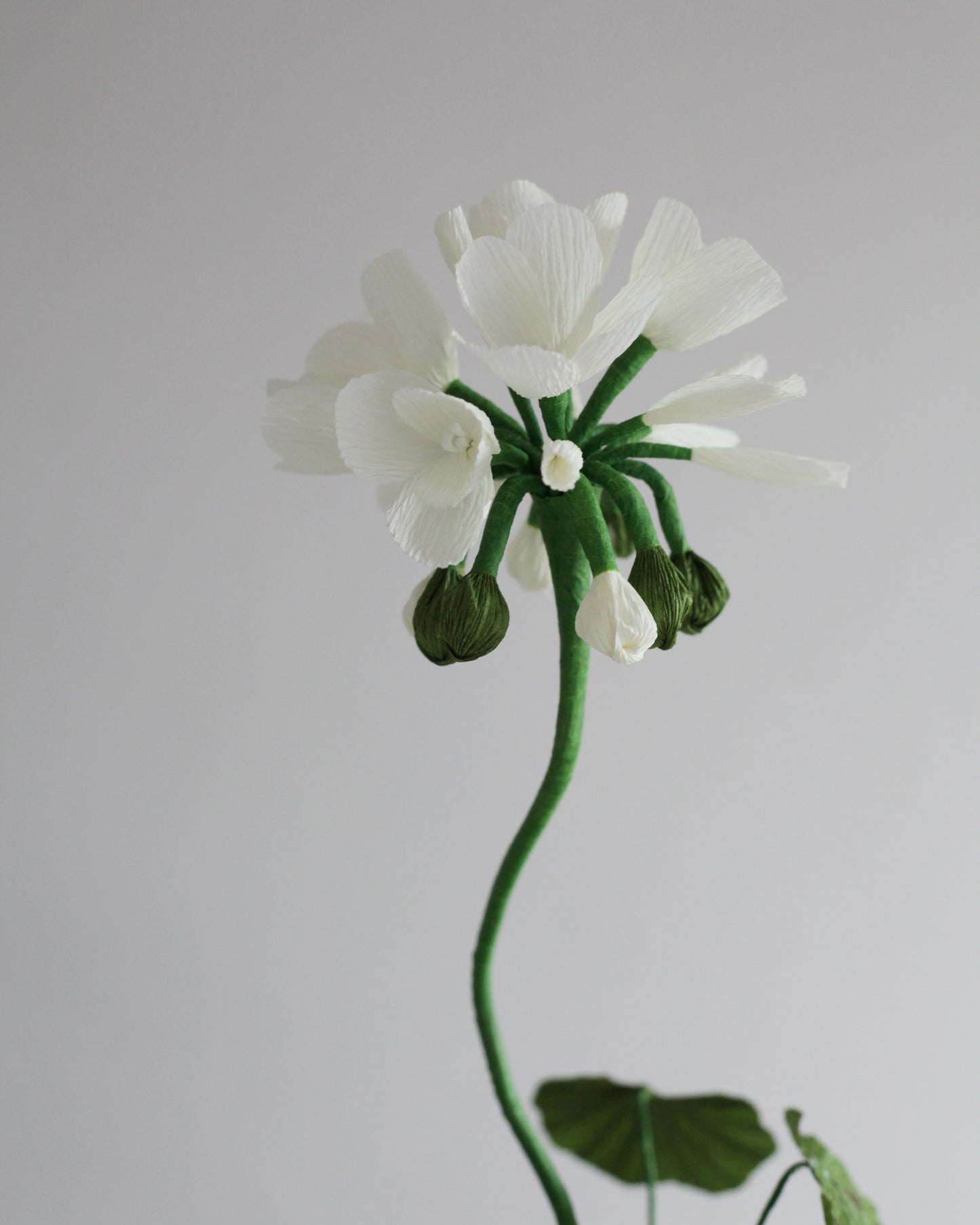 Blooms by Beam Standard White Paper Flower Geranium