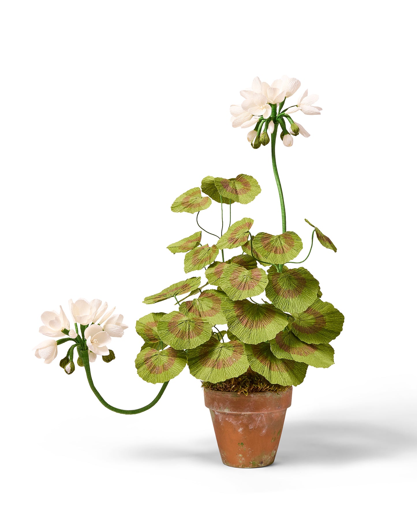 Blooms by Beam Standard White Paper Flower Geranium