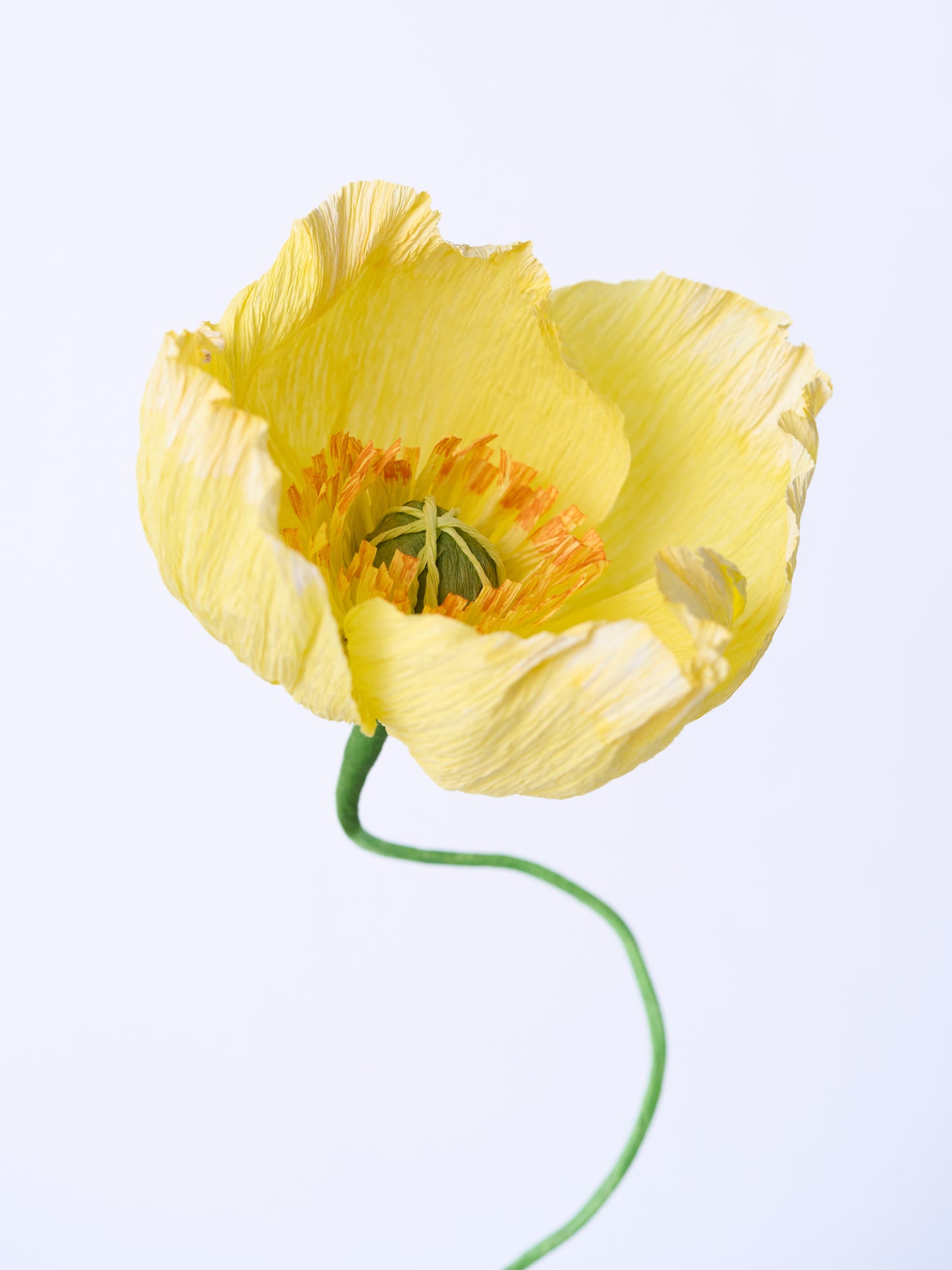 Blooms by Beam Paper Poppy Flowers
