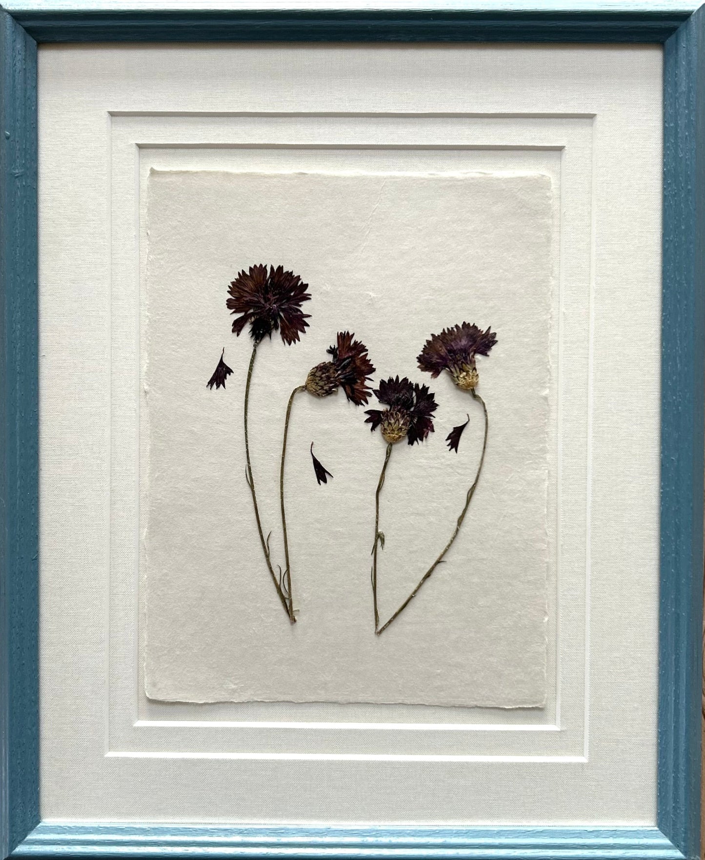 Clove at Home, ‘Pressed Cornflowers in Blue' 2025