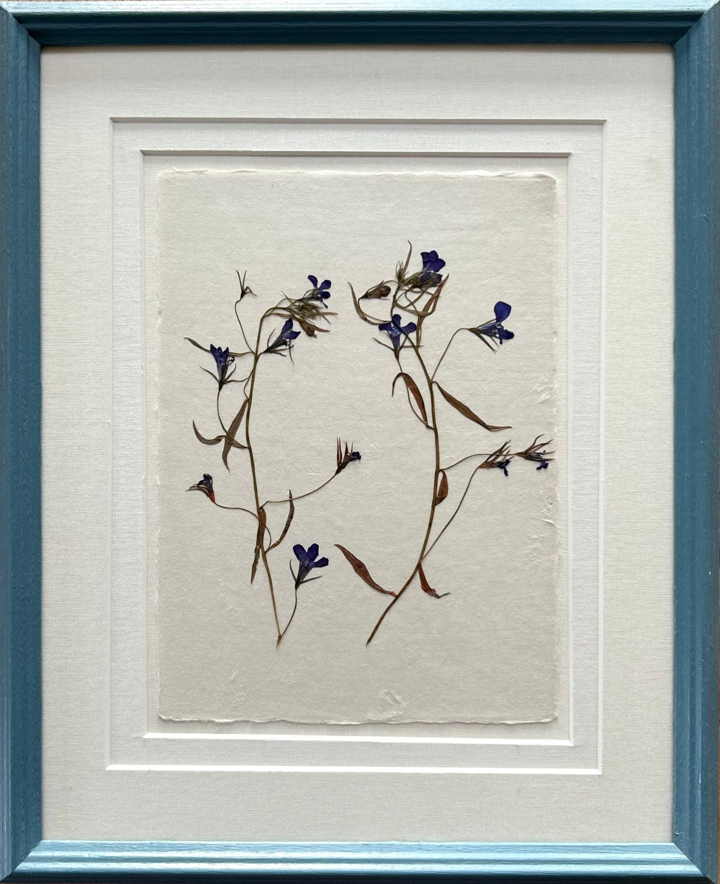 Clove at Home, ‘Pressed Lobelia in Blue' 2025