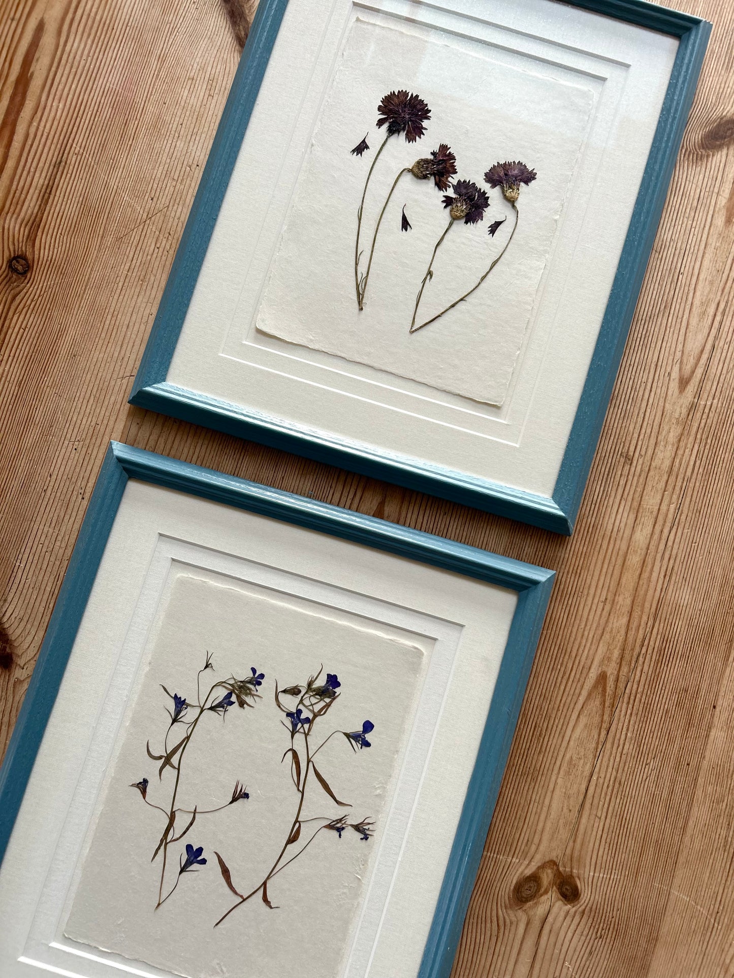 Clove at Home, ‘Pressed Cornflowers in Blue' 2025
