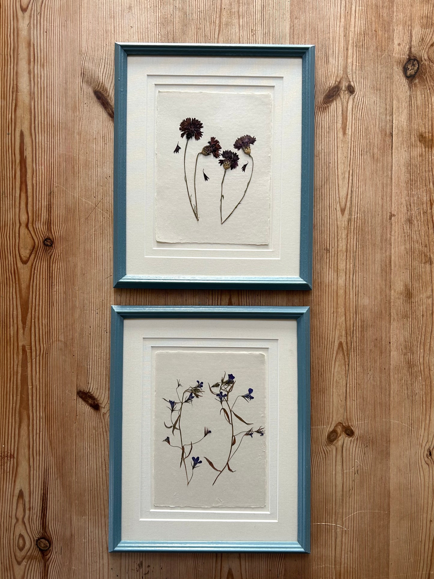 Clove at Home, ‘Pressed Cornflowers in Blue' 2025