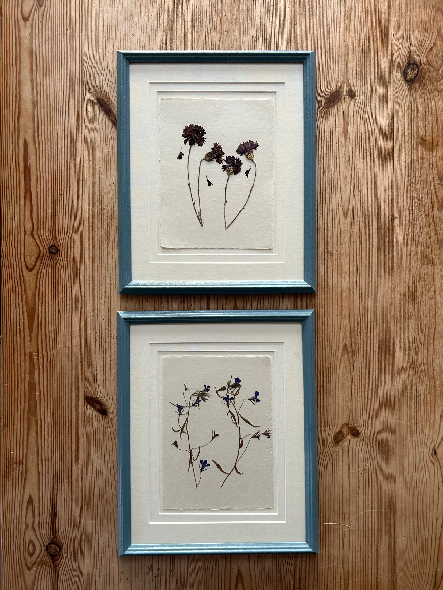 Clove at Home, ‘Pressed Cornflowers in Blue' 2025