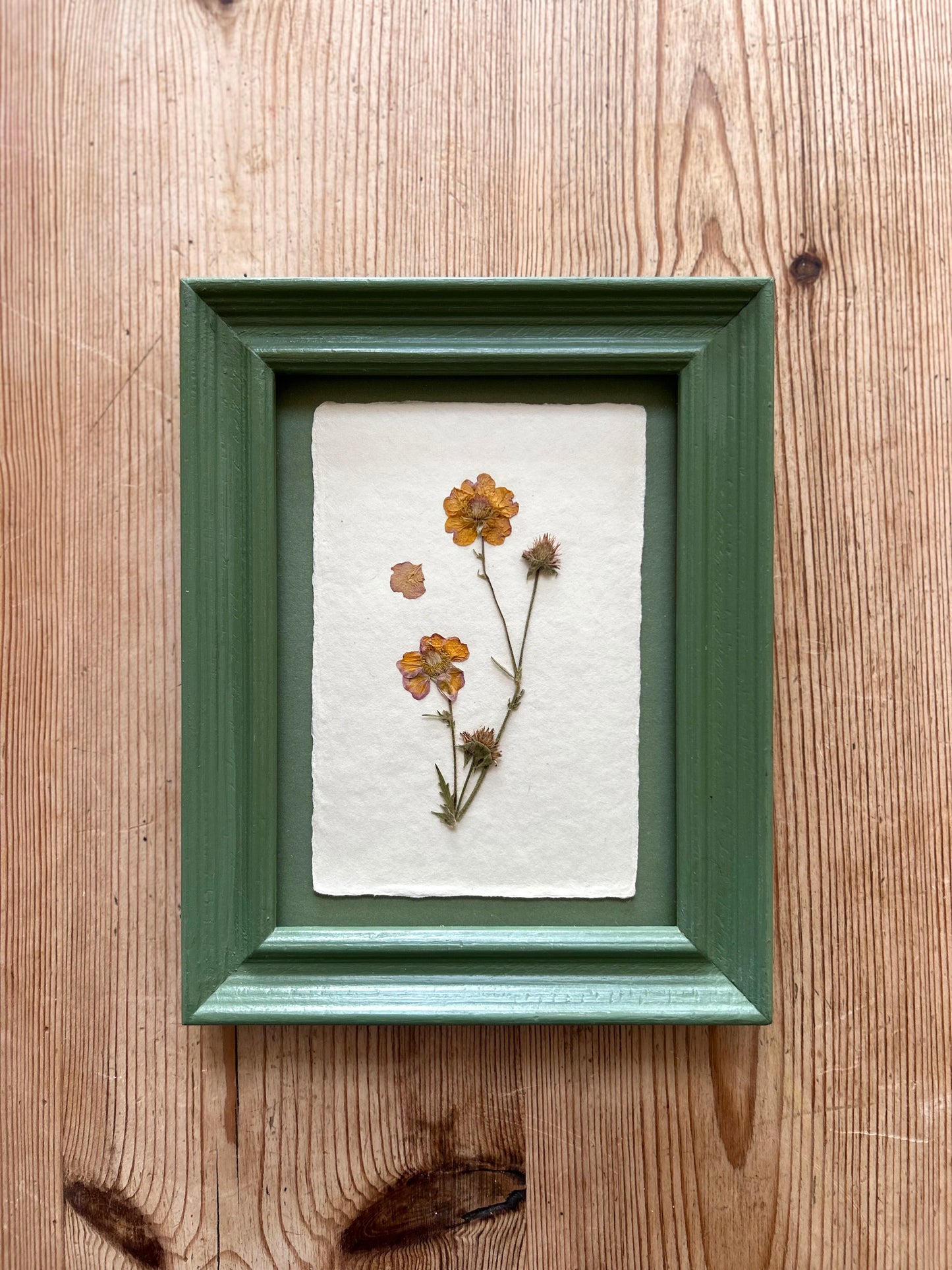 Clove at Home, ‘Pressed Geum Framed in Green' 2025