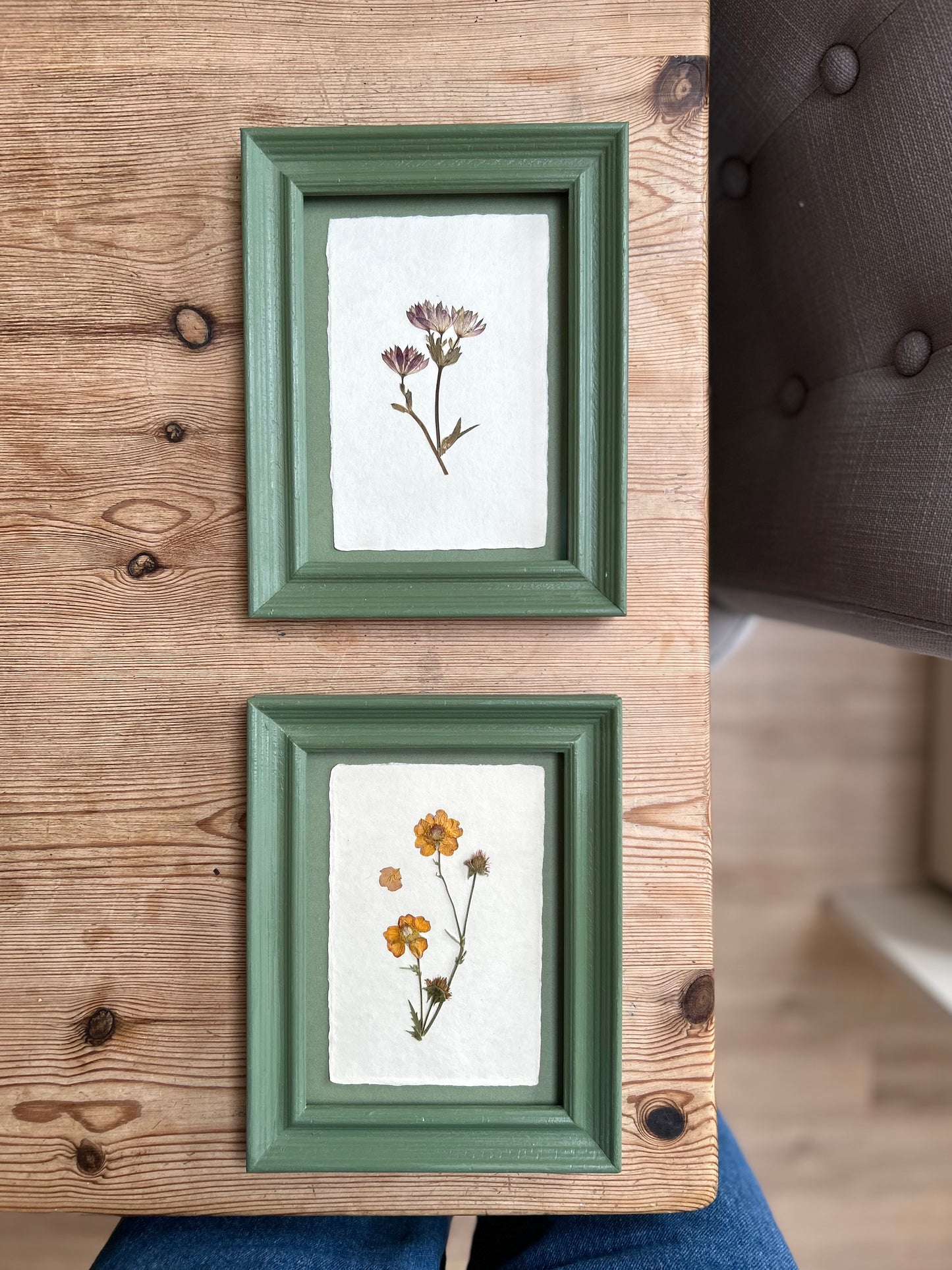 Clove at Home, ‘Pressed Astrantia Framed in Green' 2025
